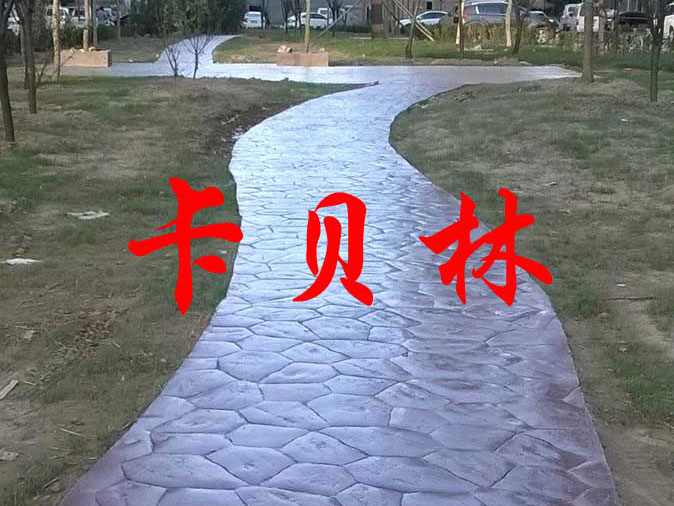 济南鑫隆帝景城压花地坪